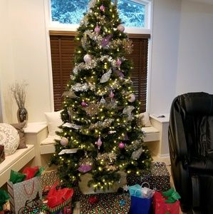 Meet your Posher, Ricci